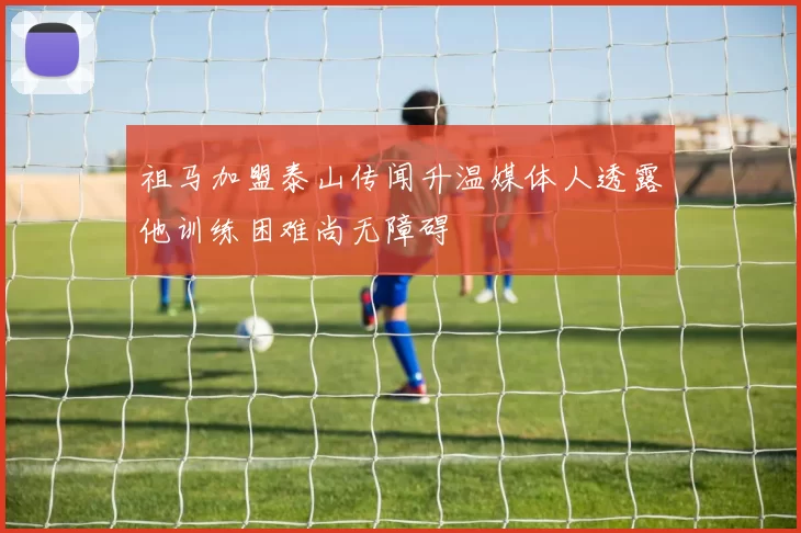 祖马加盟泰山传闻升温媒体人透露他训练困难尚无障碍